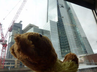 Teddy seeing Shard at London Bridge
