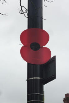 Remembrance Poppy