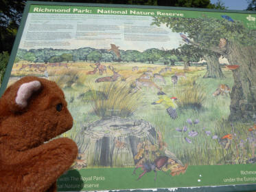 Park wildlife noticeboard