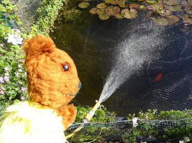 Water hose in pond