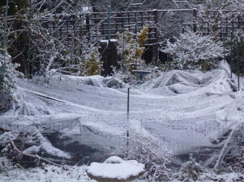 Snow on pond