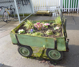 Wagon with plants