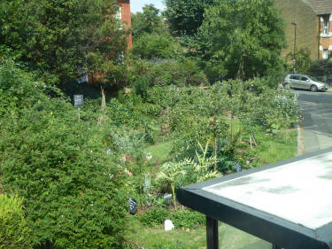 Communal ground planted up near Finchley