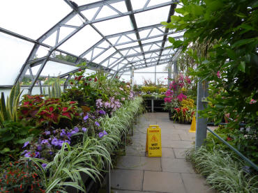 Hall Place greenhouse