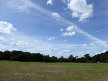 Highgate Wood