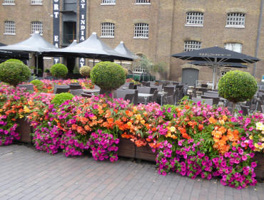 Cafes, West India Quay