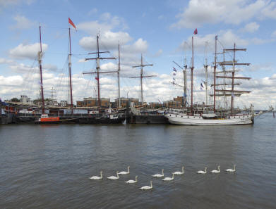 Tall ships and swans