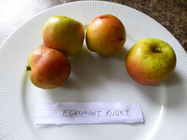 Egremont Russet apples