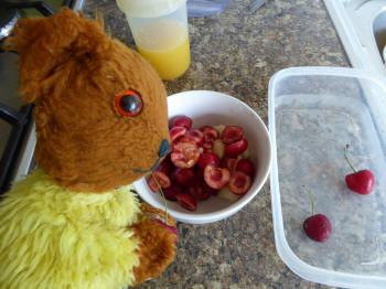 Bowl of cherries