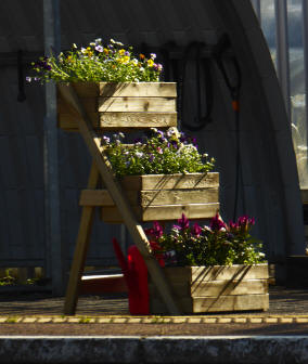 Flower boxes on railway station
