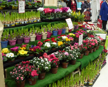 Plant and flower stall