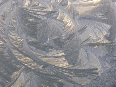 Frost flowers on glass