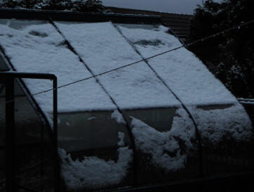 Snow on greenhouse