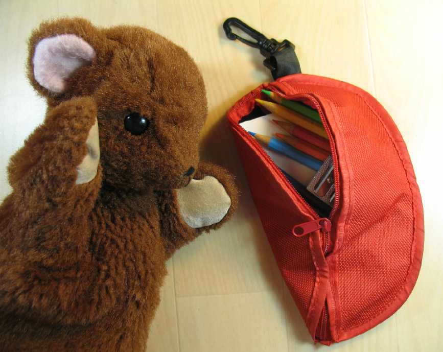 Brown Teddy with Observing Bag
