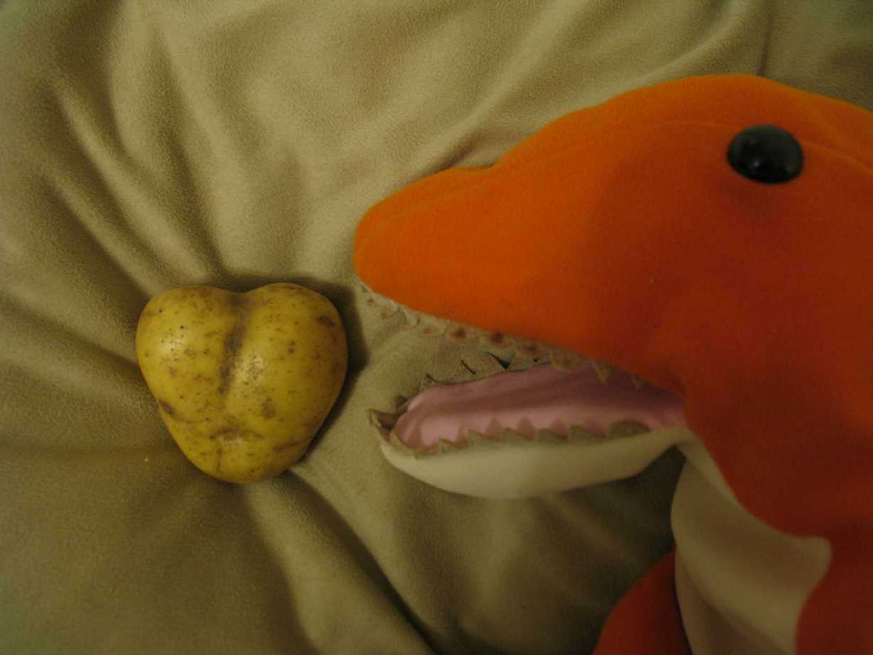 Dino's heart-shaped potato