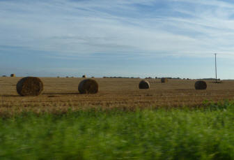 Hay rolls in field