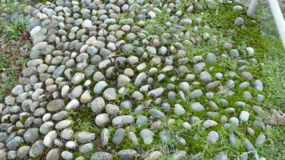 Roadside pebbles