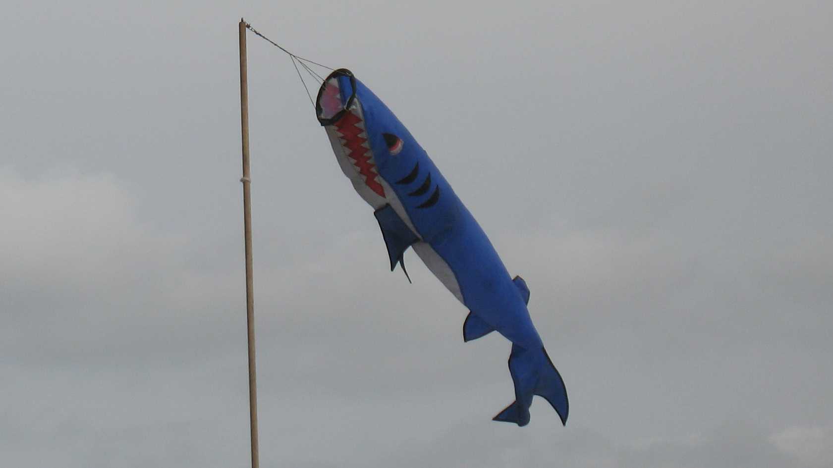 Shark fish windsock Pedham Place Swanley boot fair