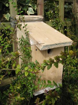 Bluetit nestbox